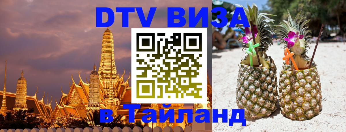 Оформление DTV визы под ключ: стоимость и тарифы, только загранпаспорт - Мурино 